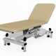  Plinth 2000 (502E) 2 Section Electric Examination Couch