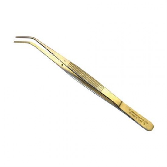 Dental College Forcep