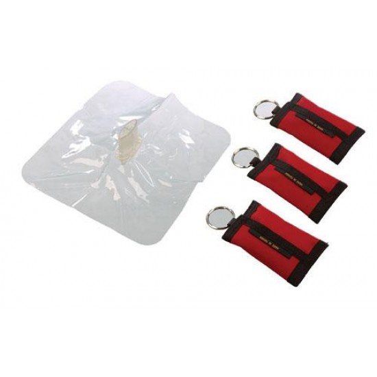 Guardian key fob and face mask