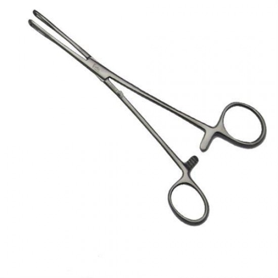 Rampley Sponge Forceps 24cm