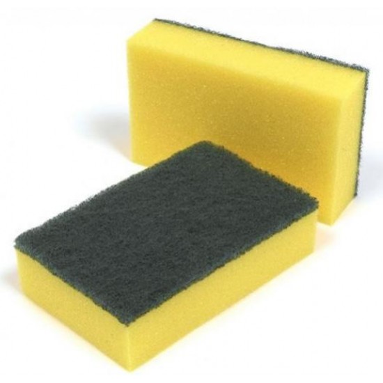 Sponge Scourers x10