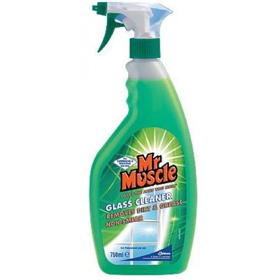 Mr Muscle Window & Glass Cleaner 500ml